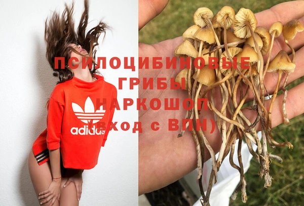 каннабис Инта