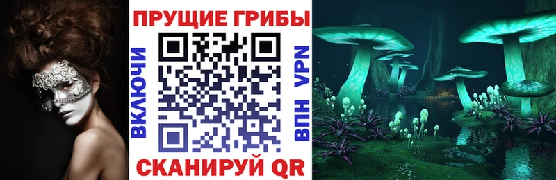 Купить Тулун Псилоцибиновые грибы прущие грибы