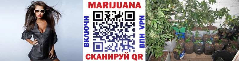 Шишки марихуана планчик  Купить закладки  Тулун 
